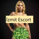 Kocaeli Farklı Hazveren Escort - İzmit Escort - Kocaeli Escort - Escort Whatsapp Kocaeli Farklı Hazveren Escort